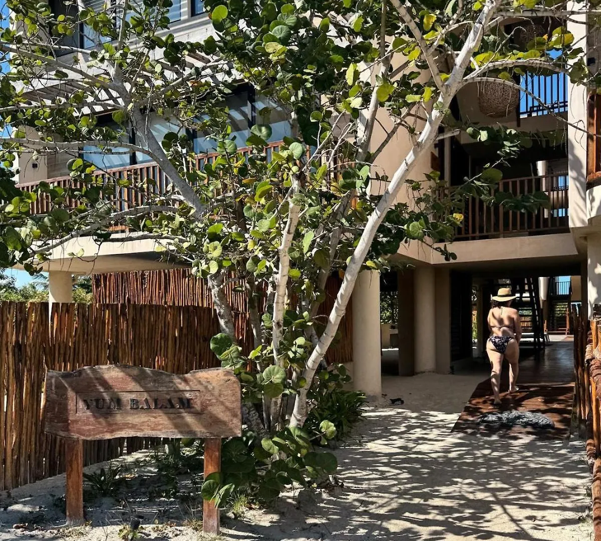 Artistic Loft Steps From The Beach With Pool View Isla Holbox Apartment